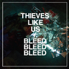 Thieves Like Us - Stay Blue