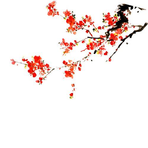 睡觉觉