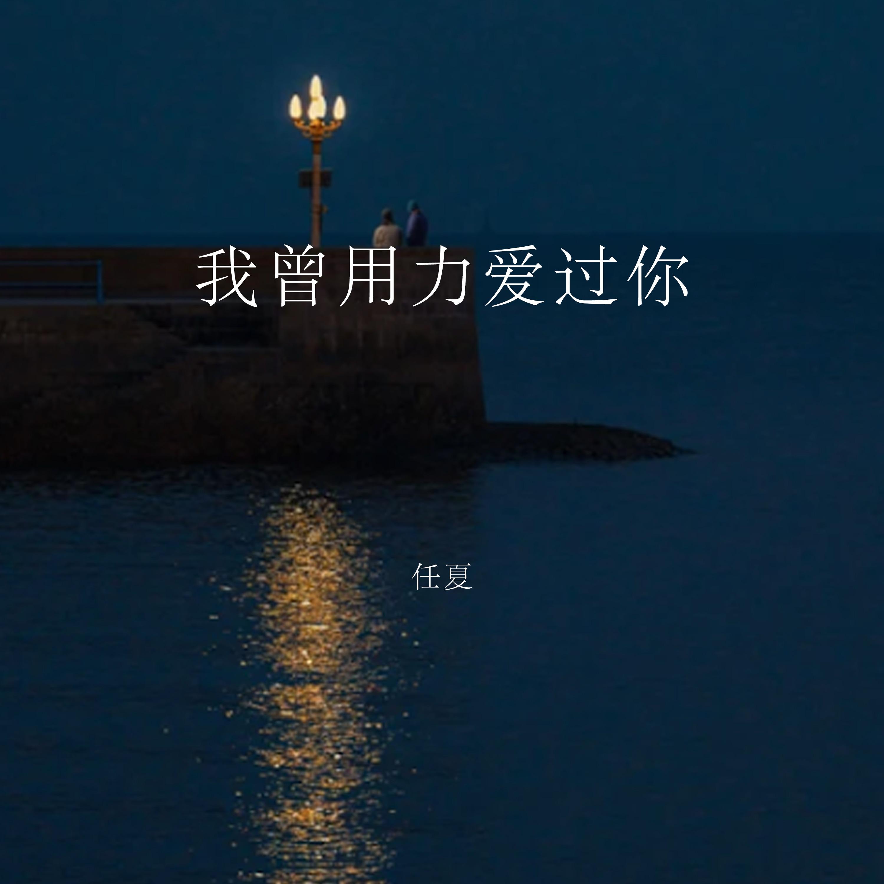 我曾用力愛過你 海報