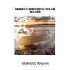 Divine Stream Nature Music - Florida Swamps