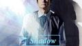 Light & Shadow (Shadow)专辑