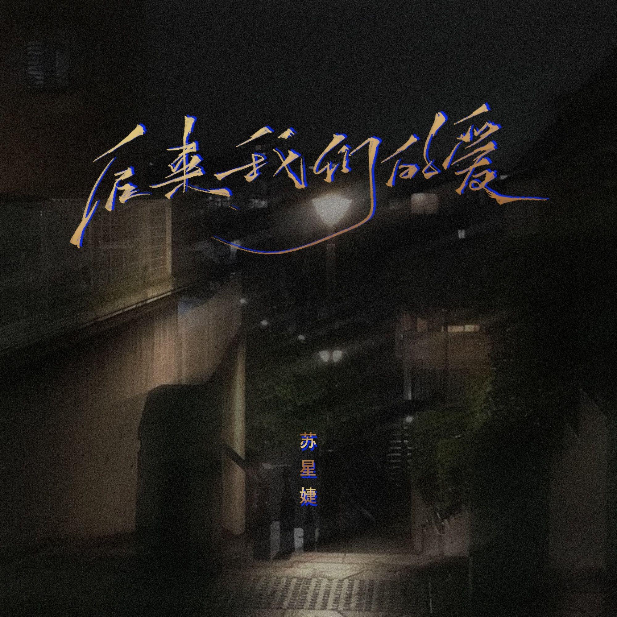 後來我們的愛 banner