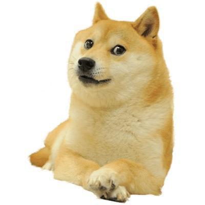 笑红尘做个真的我