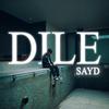 Sayd - DILE (feat. Enzo Luna)