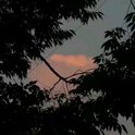平淡无奇