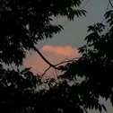 平淡无奇