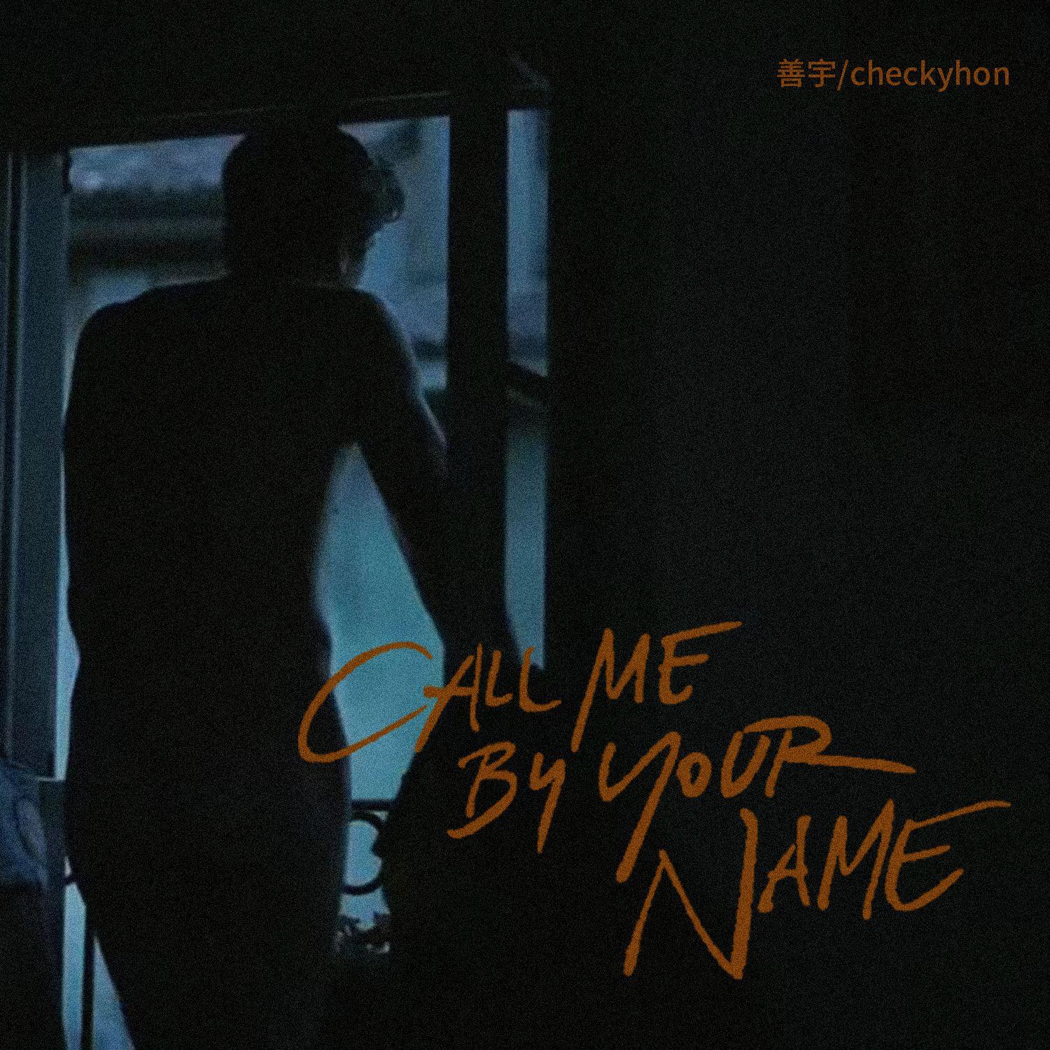 Call me by your name 海報