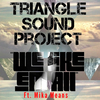 Triangle Sound Project - We Like 'Em All