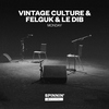 Vintage Culture - Monday (Acoustic Version)