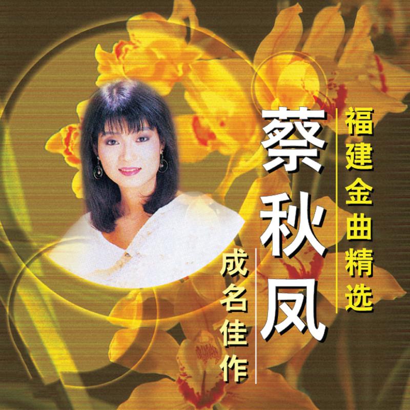 襪看破 海報