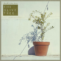 The Olive Tree专辑