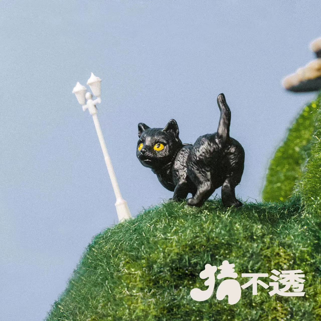 猜不透专辑