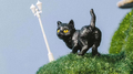 猜不透专辑