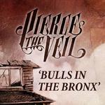 Bulls In The Bronx专辑