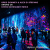 Greg Downey - Among Us (Chris Schweizer Remix)