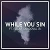 Robin Hustin - While You Sin (feat. Edgar Sandoval Jr)