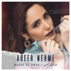 Abeer Nehme - Haidi El Deni