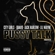 Pussy Talk (Remix)