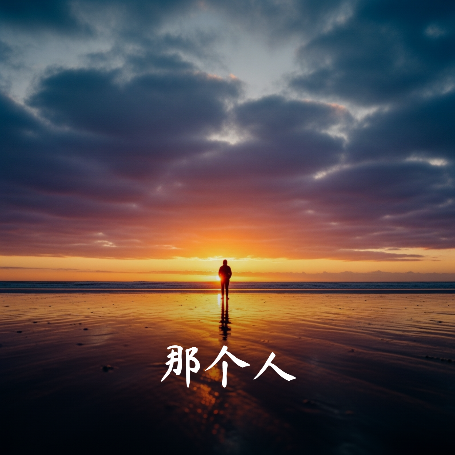 那个人 海报