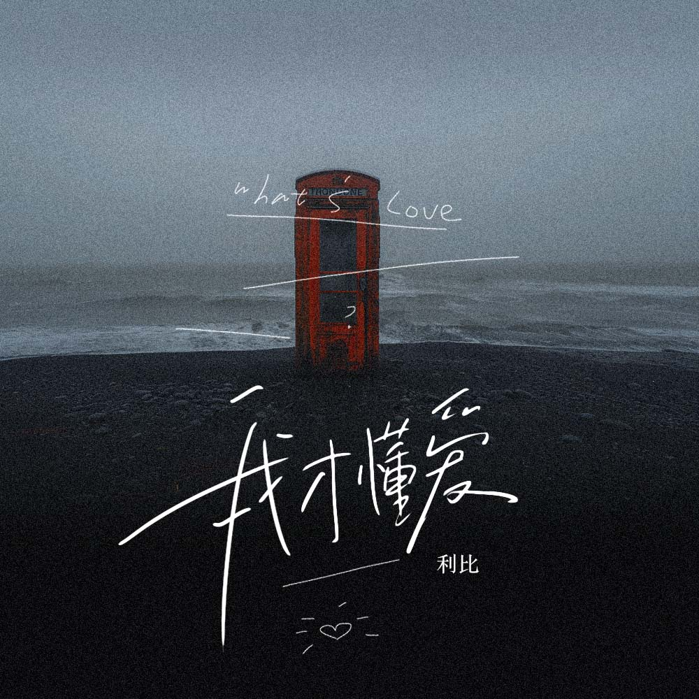 我才懂爱 banner