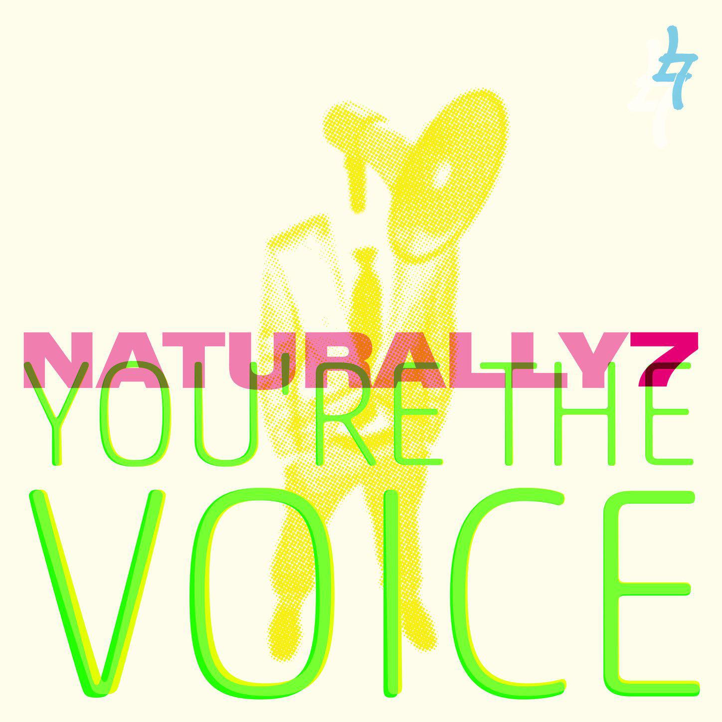 You\'re the Voice专辑