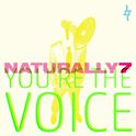 You\'re the Voice专辑