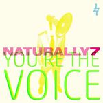 You\'re the Voice专辑