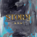 风暴 (STORM)专辑