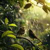 Native American Nature - Peaceful Rain with Birdsong Accents