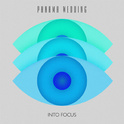 Into Focus专辑