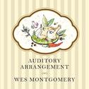 Auditory Arrangement专辑