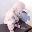 KTV必唱曲目