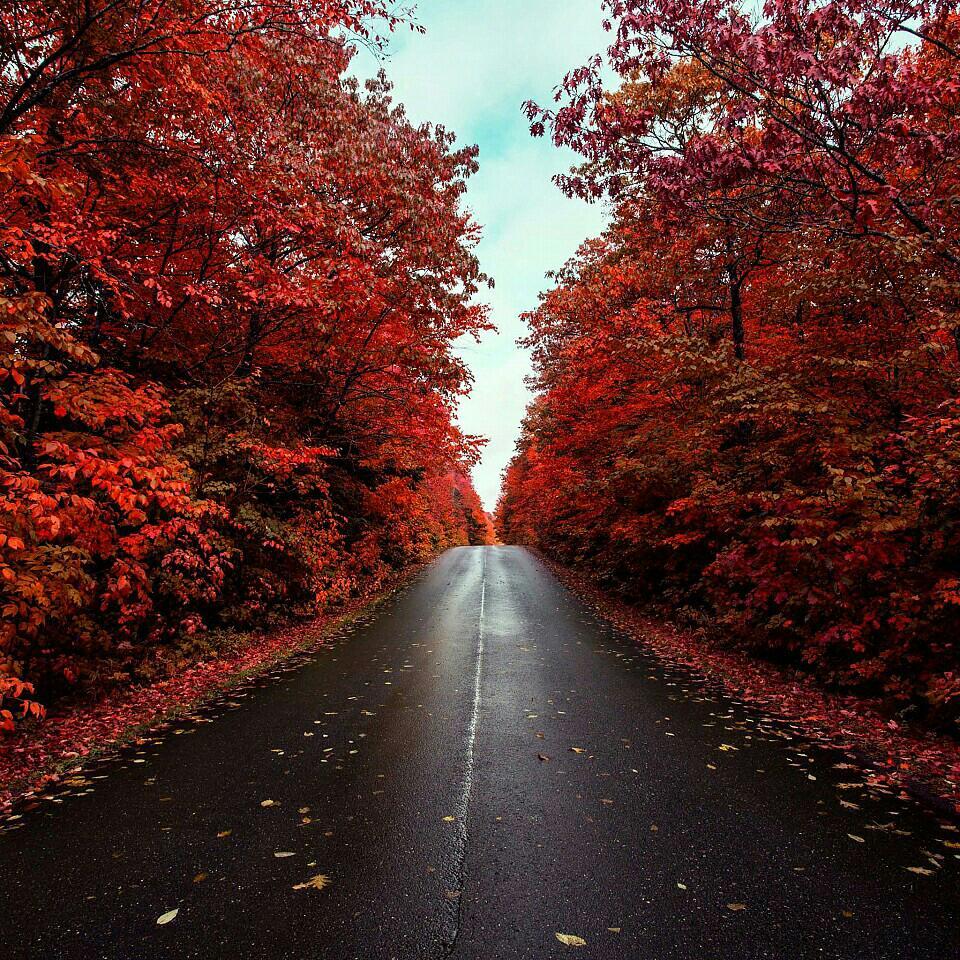 华为p8 显示器 播放_枫叶播放器 华为_华为手机音乐播放器设置循环播放