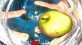 fish type专辑