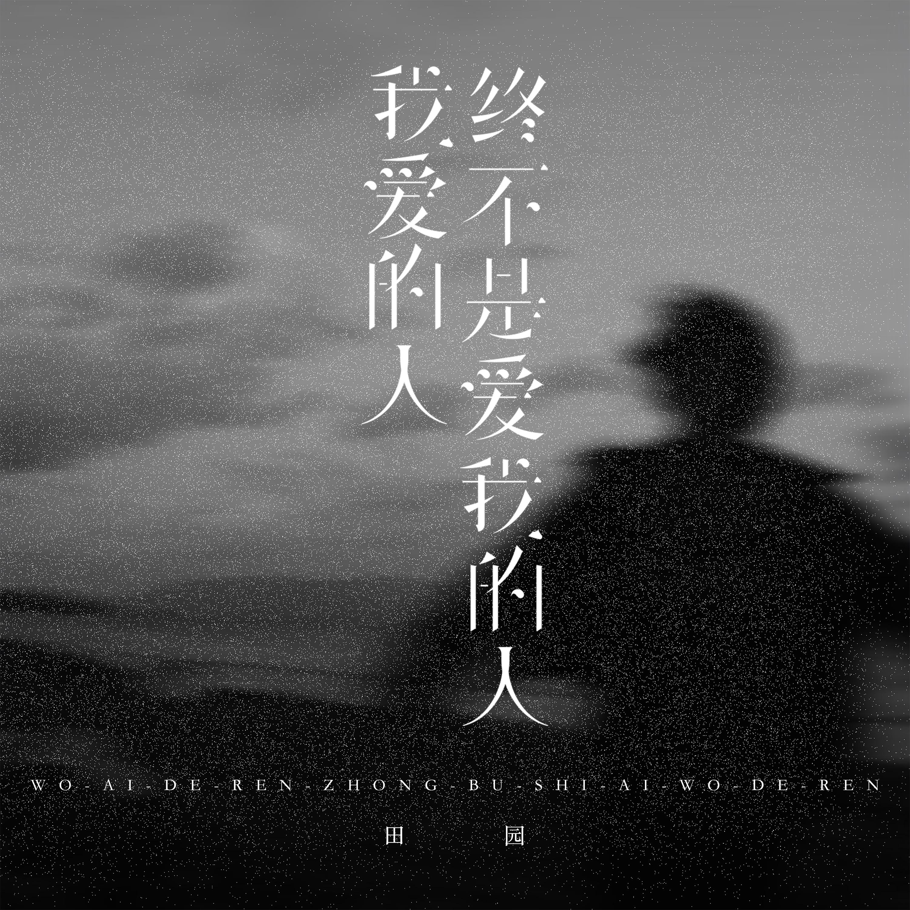 我愛的人終不是愛我的人 海報
