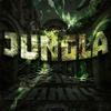 dnzsb - jungla (feat. fab)