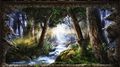 The Forest Seasons (Limited Edition)专辑