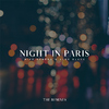 Mike Demero - Night in Paris