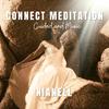 Nianell - Connect Guided Meditation