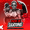 Dj Carlos Henrique - Puta de Silicone