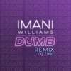 Imani Williams - Dumb (DJ Zinc Remix)