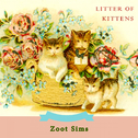 Litter Of Kittens专辑