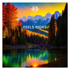 Amir Telem - Feels Right