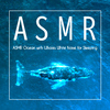 贵族音乐ASMR - 汹涌海浪声与鲸鱼声
