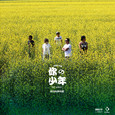 你的少年
