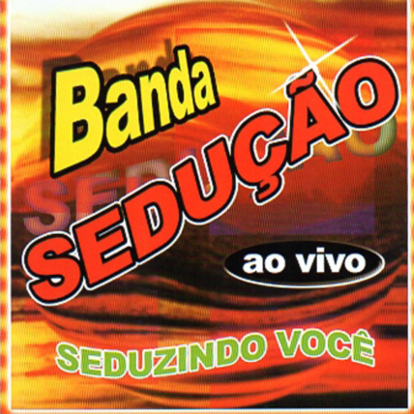 Seduzindo Você (Ao Vivo)专辑