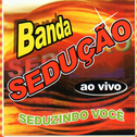 Seduzindo Você (Ao Vivo)专辑