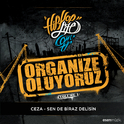 Sen De Biraz Delisin (Organize Oluyoruz Vol. 1)专辑