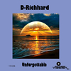 D-Richhard - Unforgettable (original mix)