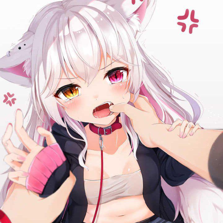 狗子